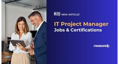 IT Project Manager jobs