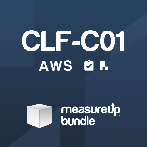 Bundle (CLF-C01): AWS Certified Cloud Practitioner (Practice Test + Practice Lab)