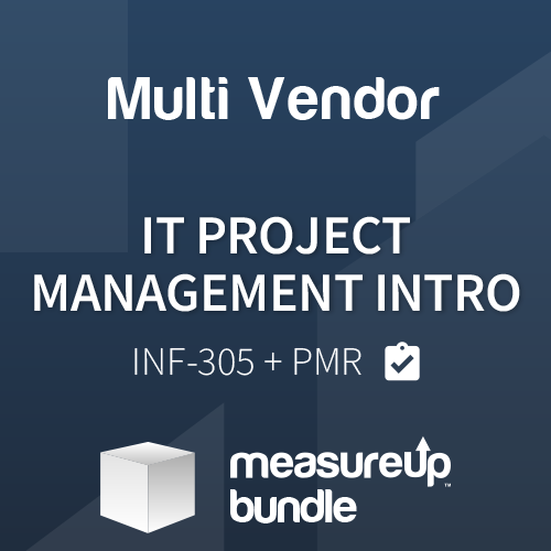 Bundle IT Project Management Intro (INF-305 + PMR)
