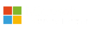 Microsoft Partner logo